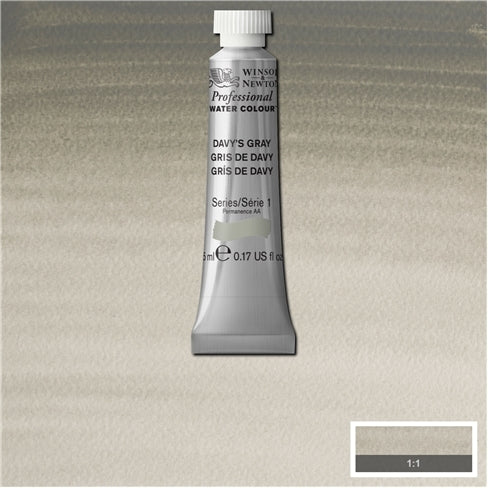 Davy's Grey 5ml 217 S1 Artist's Aquarel Winsor & Newton