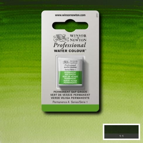 Permanent Sap Green napje 503 S1 Artist's Aquarel Winsor & Newton