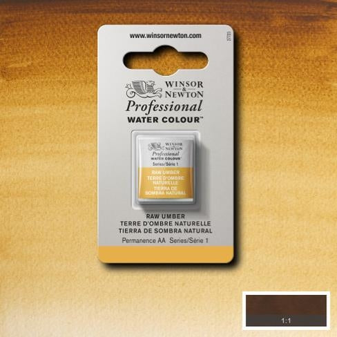 Raw Umber napje 554 S1 Artist's Aquarel Winsor & Newton