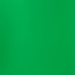 PERMANENT GREEN LIGHT 483 14 ml. S2 Designers Gouache Winsor & Newton