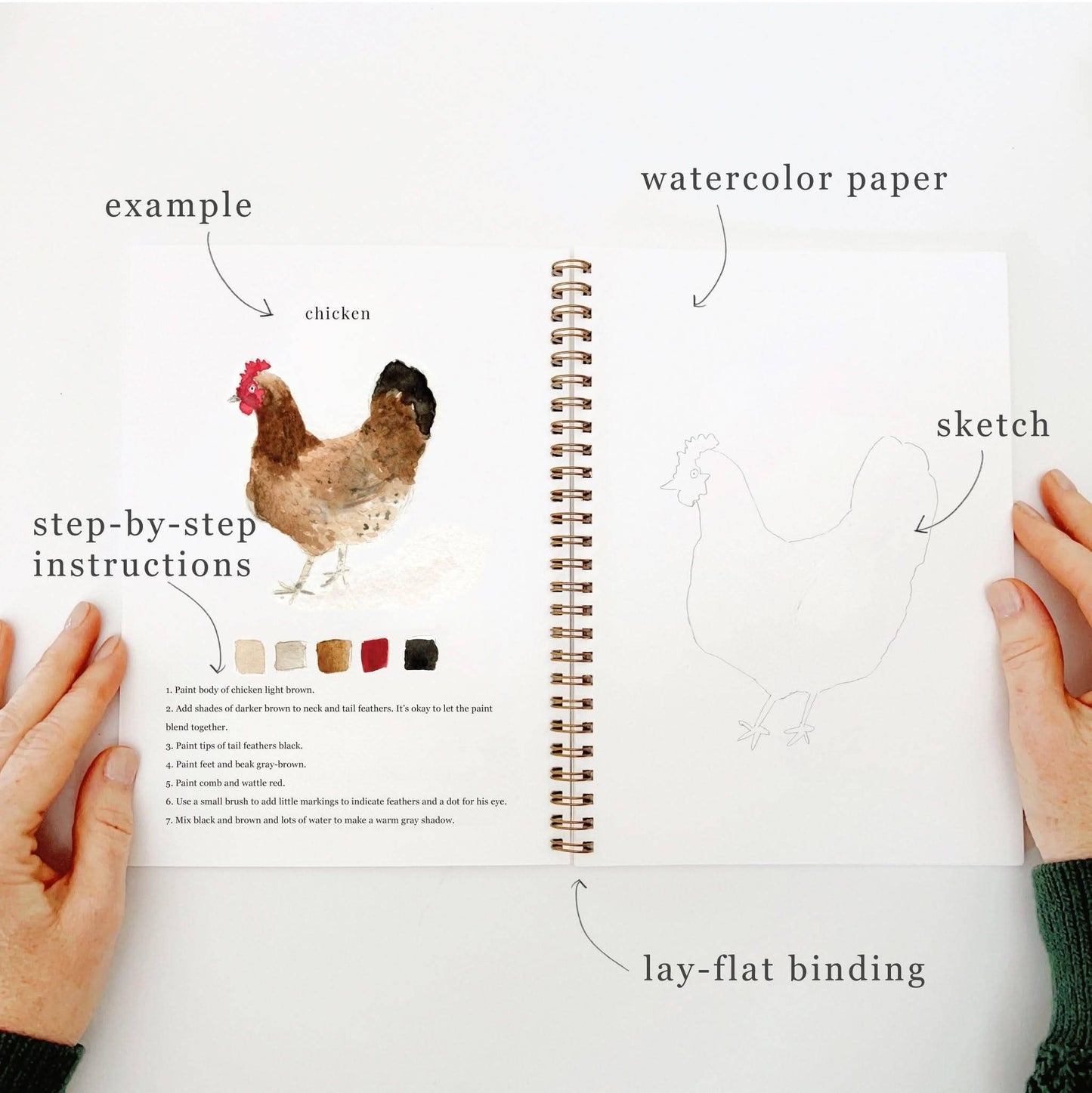 Aquarelverf werkboek - Dieren - emily lex studio watercolor workbook