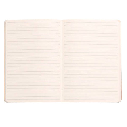 Notitieboek Aqua A5 90 grams Rhodia