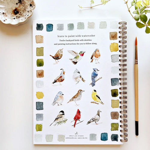 Aquarelverf werkboek - Vogels